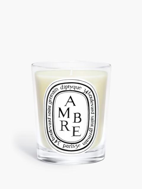 Diptyque Ambre (Amber) - Classic Candle