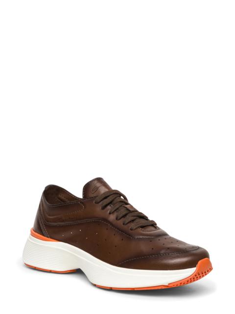 Santoni Santoni Bounce Sneaker in Brown at Nordstrom
