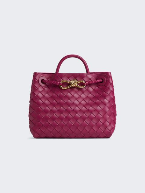 Bottega Veneta Small Andiamo Bag Cinnabar And Muse Brass