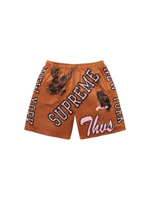Varsity mesh shorts