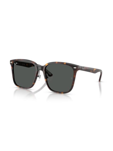 Ray-Ban RB2206D