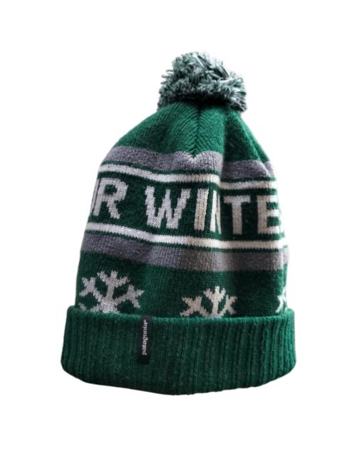 Patagonia Patagonia beanie "protect our winters"