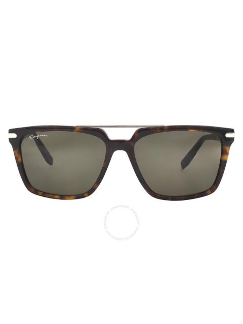 FERRAGAMO Salvatore Ferragamo Brown Browline Men's Sunglasses SF1037S 240 57