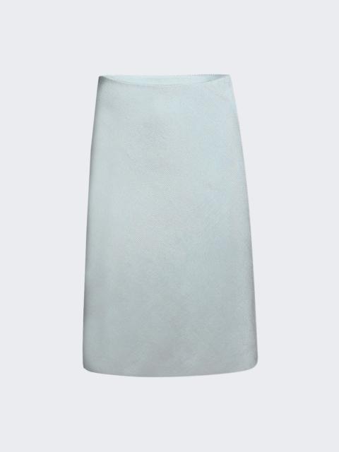 Miu Miu Midi Skirt Astro