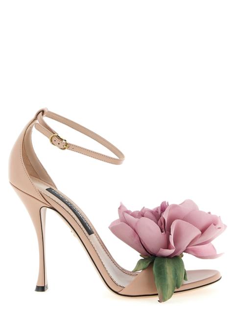 Dolce & Gabbana Dolce & Gabbana Women 'Bouquet' Sandals