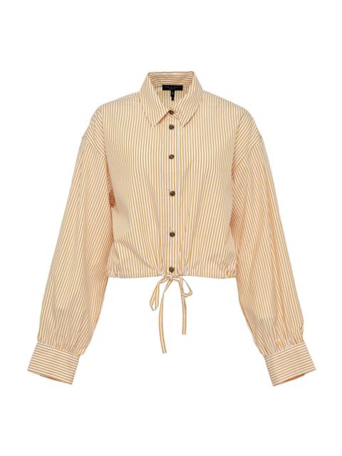 rag & bone Georgie Stripe Poplin Shirt