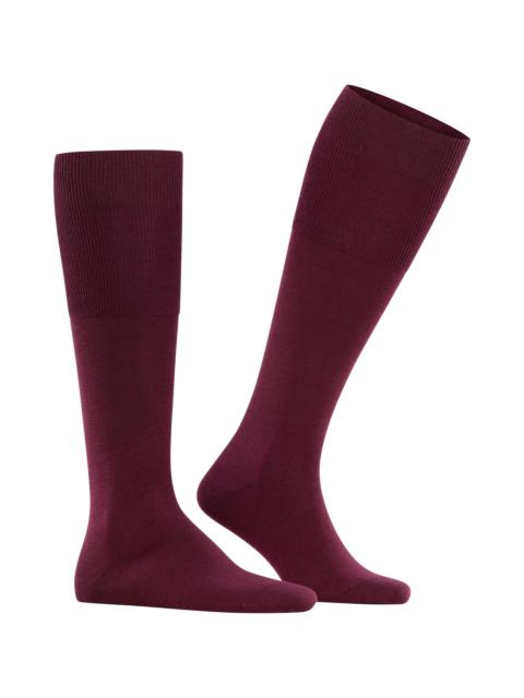 FALKE Falke Airport Knee High Socks in Barolo at Nordstrom