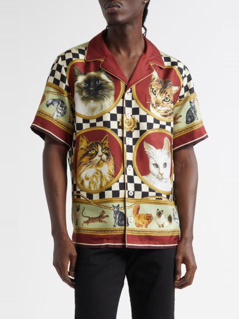 Dolce & Gabbana Dolce&Gabbana Cat Print Silk Camp Shirt in Gatti at Nordstrom