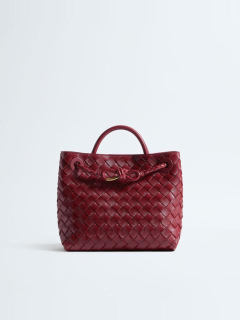 Bottega Veneta Small Andiamo