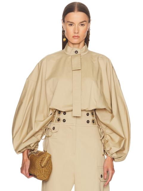 Zimmermann Rebellion Drawn Top