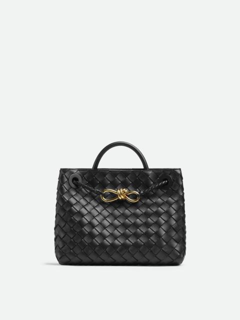Bottega Veneta Small Andiamo