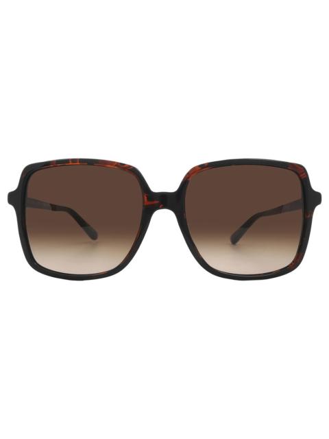MICHAEL KORS Michael Kors Isle Of Palms Brown Gradient Square Ladies Sunglasses MK2098U 378113 56