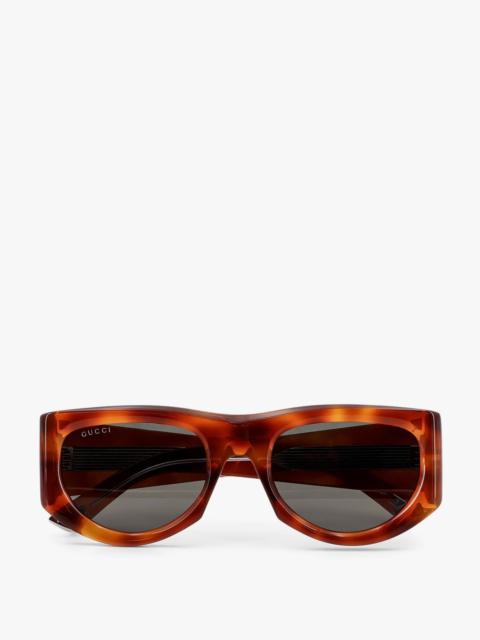 GUCCI Gucci Acetate Sunglasses