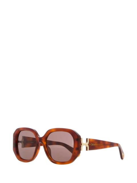 Chloé Chloe Women Caramel Acetate Sunglasses