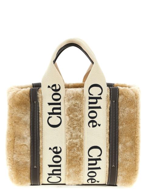 Chloé Chloé Women 'Woody' Small Handbag