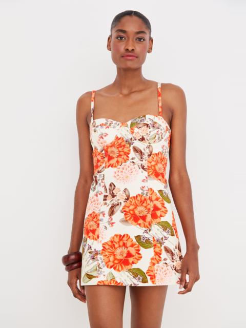 Cara Cara Claudine Mini Dress
Bold in Blossoms, Sweet at Heart