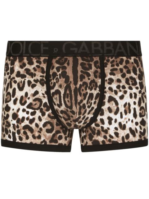 Dolce & Gabbana Leopard-print two-way stretch cotton boxers