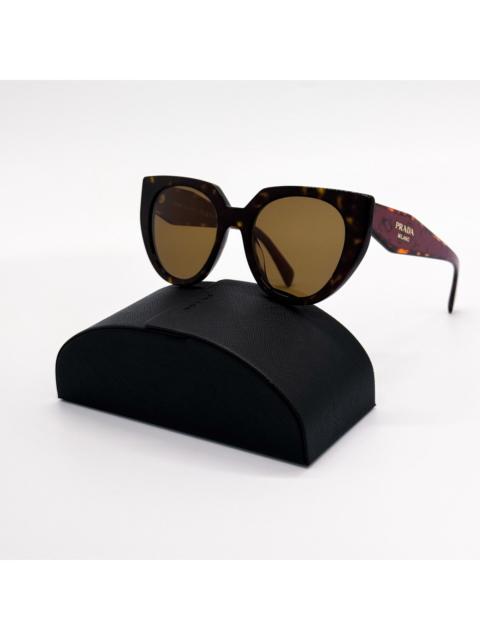 Prada New Prada Havana Burgundy Sunglasses PR14WS 2AU5Y1