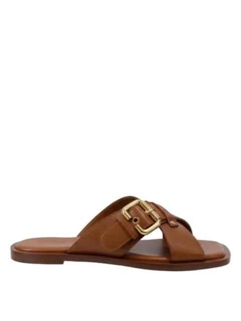 Chloé Nil Slide in Ginger Brown