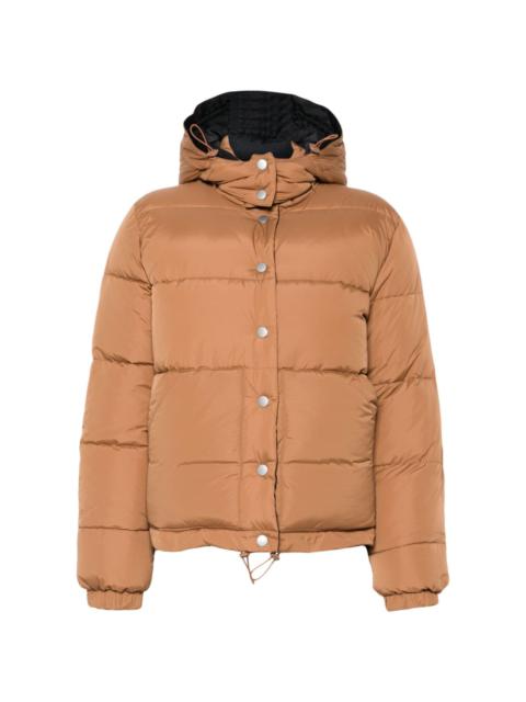 Sophie padded jacket