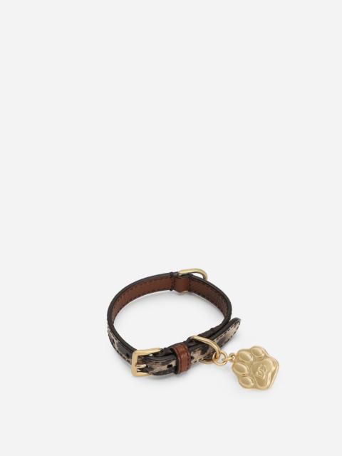 Dolce & Gabbana Dog collar