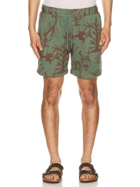 OAS Porto Shorts