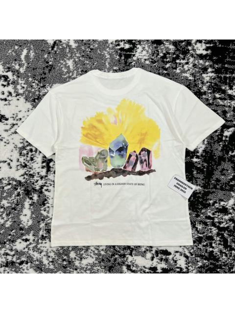 Stüssy STUSSY HIGHER STATE TEE IN WHITE SIZE XLARGE