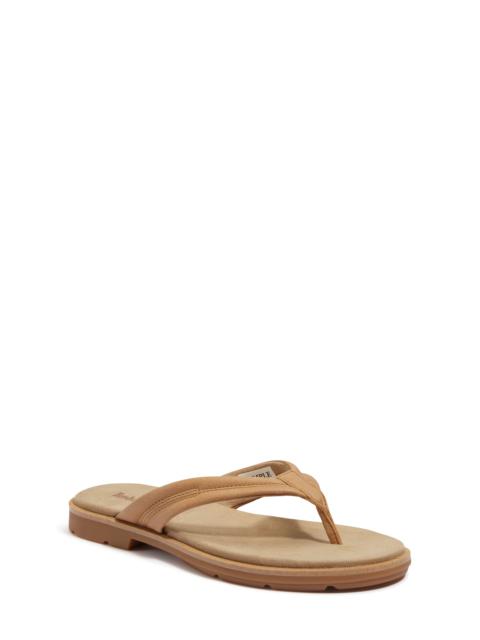 Timberland Timberland Calista Bay Flip Flop in Medium Beige Full Grain at Nordstrom