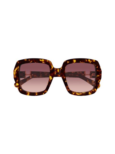Chloé Chloé Ch0301s Marcie-linea Chloé 002 Havana Red Sunglasses