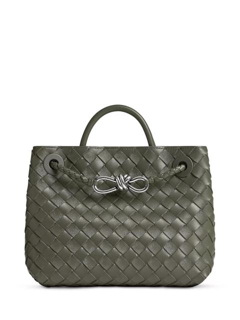 Bottega Veneta Small Andiamo Bag