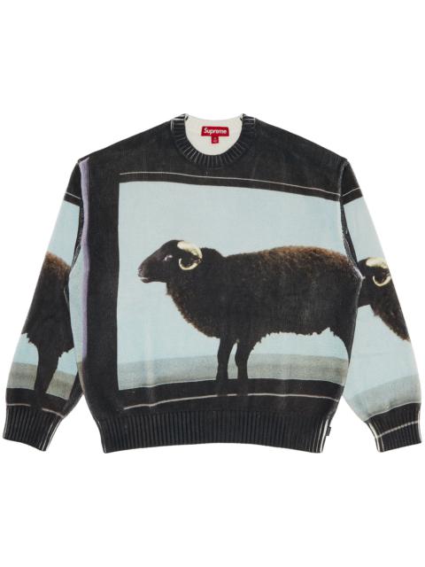 Supreme Supreme x Damien Hirst Sweater 'Black'