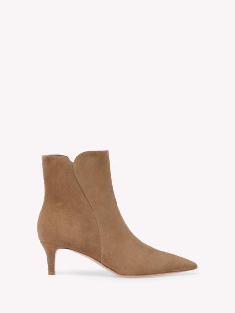 Gianvito Rossi Gianvito Rossi Levy 55 Booties in Brown Suede at Nordstrom