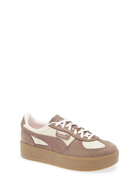 PUMA PUMA Palermo Elevata Platform Sneaker in Desert Dust/Flat Bronze at Nordstrom