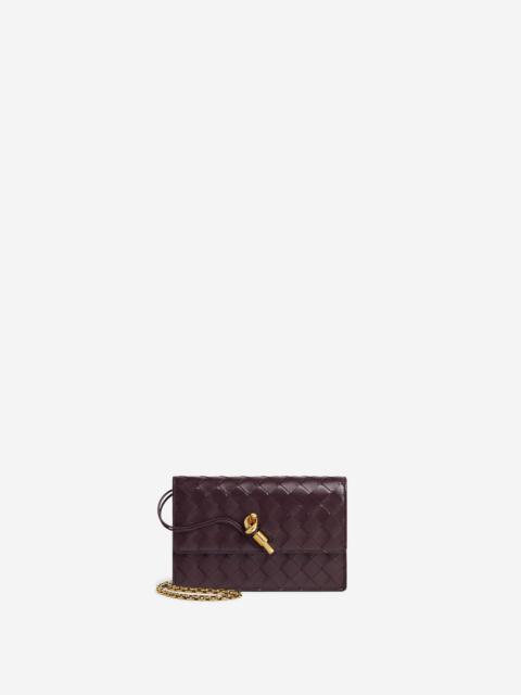 Bottega Veneta ANDIAMO POUCH BAG