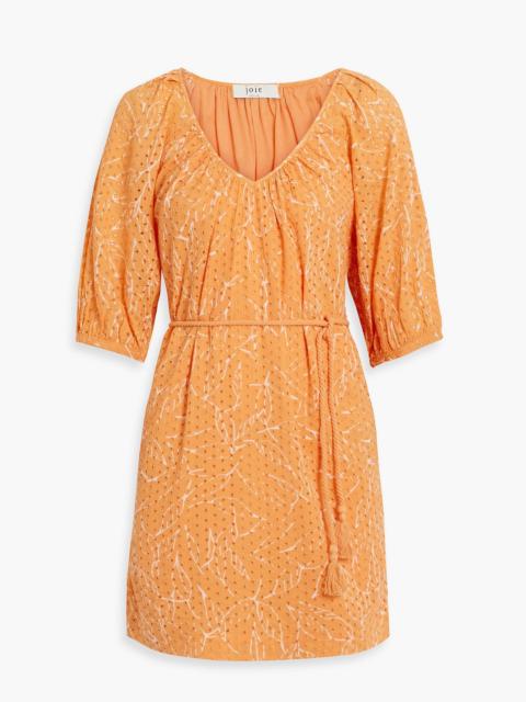 Other Designers Tillman printed broderie anglaise cotton mini dress