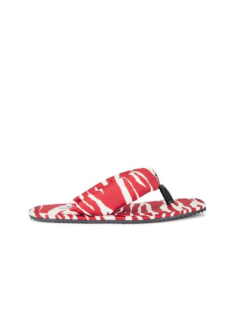 Zebra Printed Indie Flat Thong Sandal