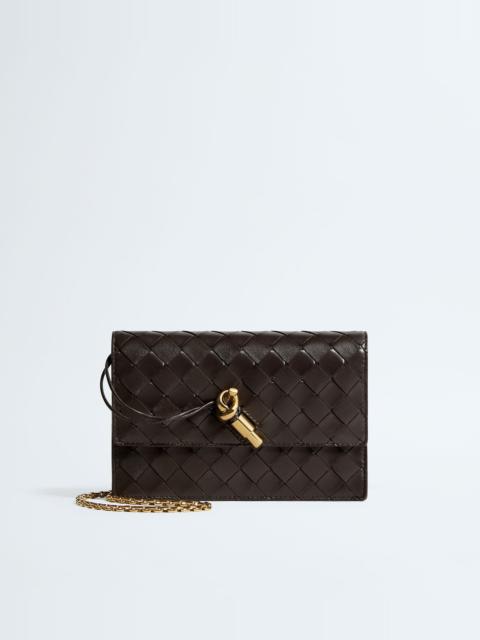 Bottega Veneta Andiamo Pouch On Chain