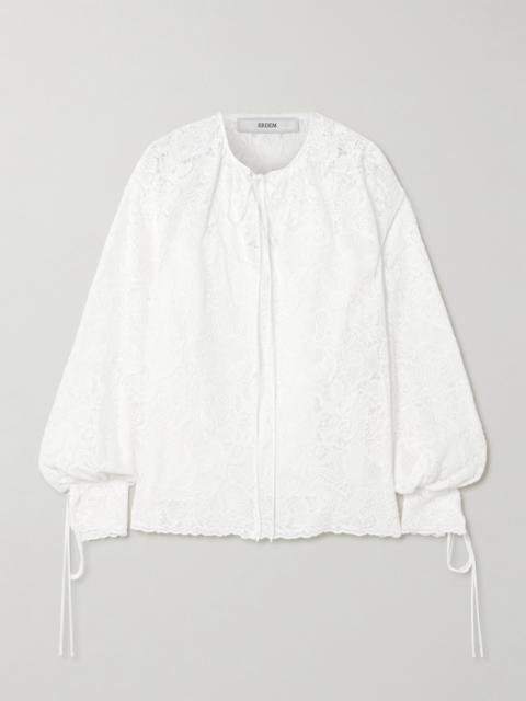 Erdem Tie-neck Cotton-lace Blouse