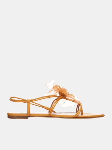 NENSI DOJAKA Appliqué Sandals