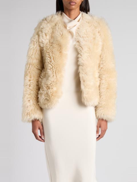 TOM FORD TOM FORD Curly Genuine Shearling Jacket in Off White at Nordstrom