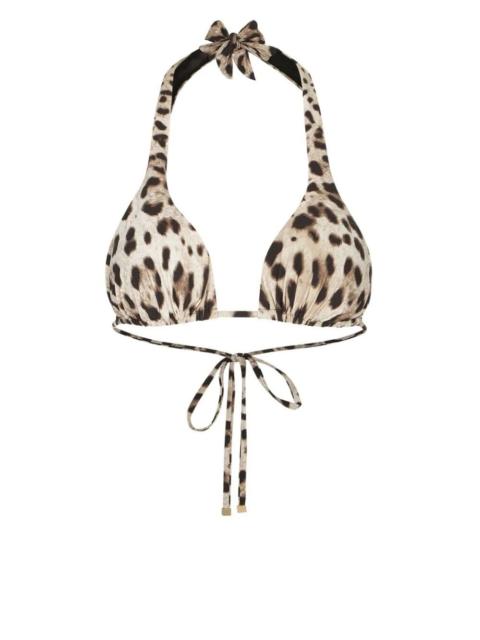 Dolce & Gabbana Padded Triangle Bikini Top