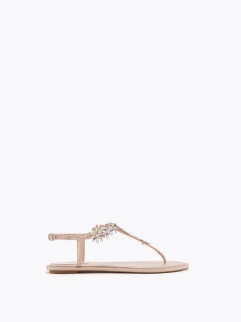 RENE CAOVILLA EVA NUDE THONG SANDAL 10
