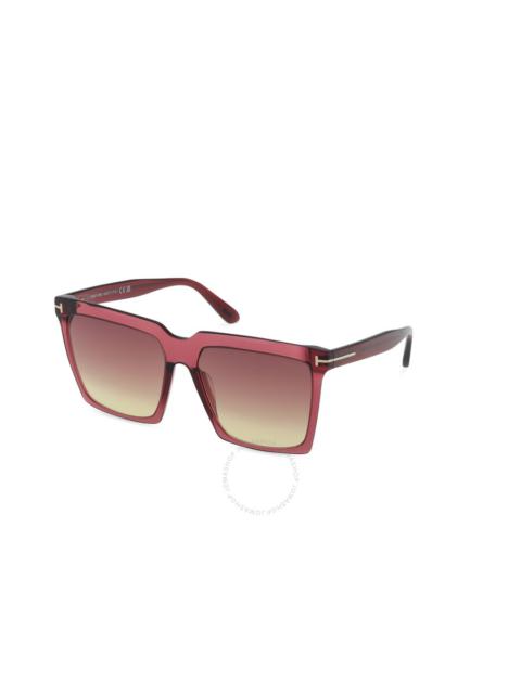 TOM FORD Tom Ford Sabrina Bordeaux Gradient Square Ladies Sunglasses FT0764 69T 58