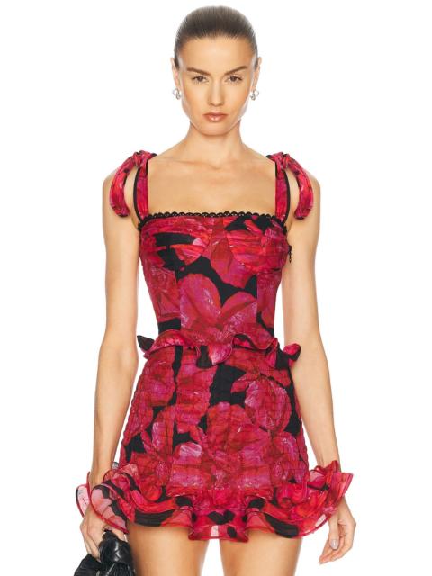 Charo Ruiz Dessine Top