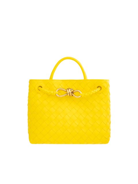 Bottega Veneta ANDIAMO SMALL BAG