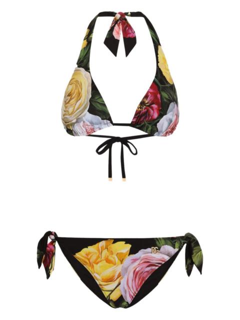 Dolce & Gabbana Dolce & Gabbana Women Rose And Peony-Print Padded Triangle Bikini