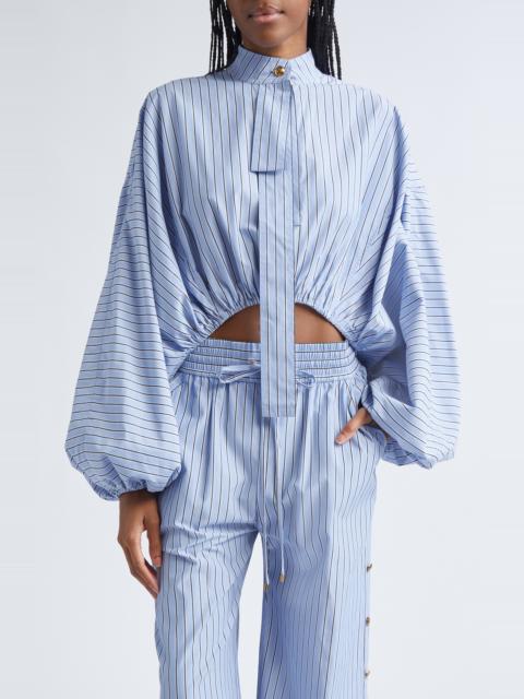 Zimmermann Zimmermann Stripe Poplin Crop Top in Hydrangea Stripe at Nordstrom