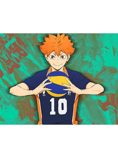 Other Designers Haikyuu Karasuno 10 jersey anime volleyball