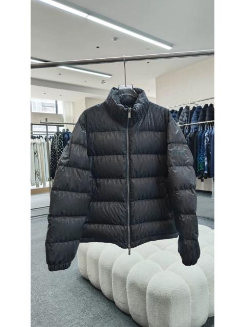 Dior Dior All-Over Logo Jacquard Stand-Collar Down Jacket