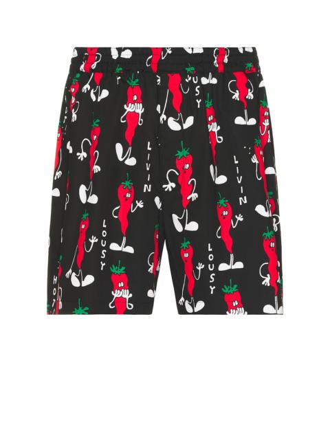 Broad Print Lousy Livin Boxer Shorts